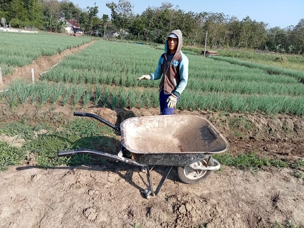 Petani Bawang Merah Desa Tetangga Juga Turut Menikmati Manfaat Jalan Baru