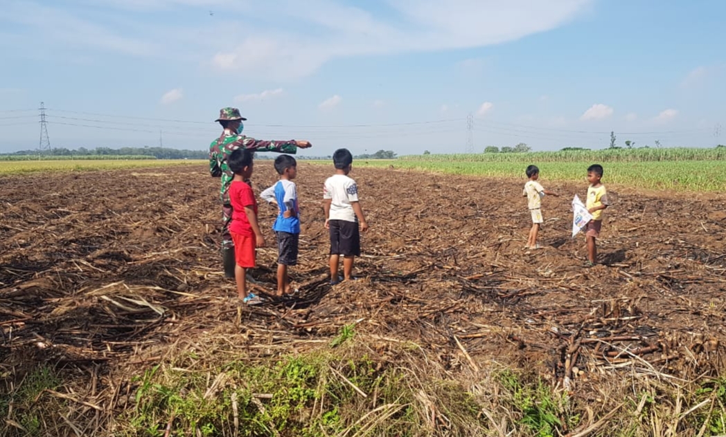 Bermain Layang-layang Di Lahan Perkebunan Tebu Bermain Layang-layang Di Lahan Perkebunan Tebu