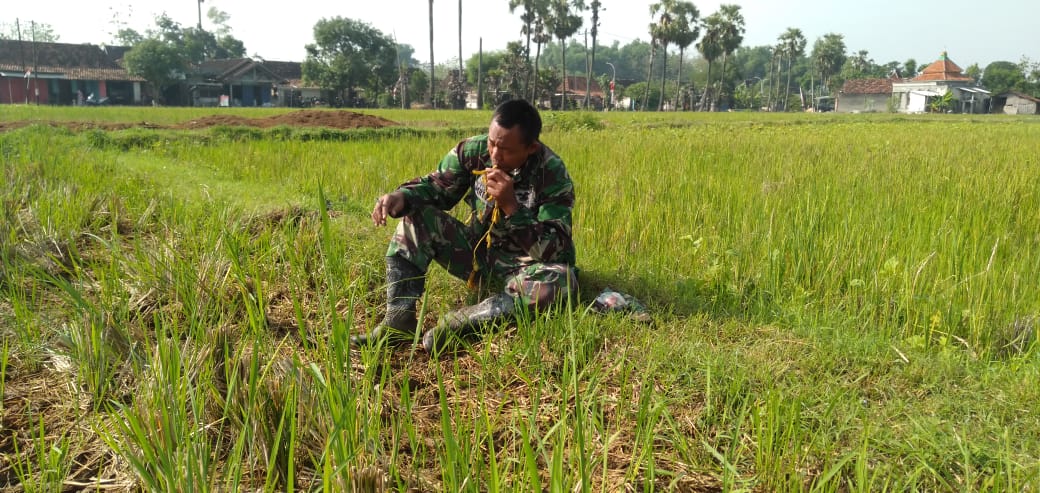 Istirahat Sambil Berjemur Menjaga Imun Tubuh