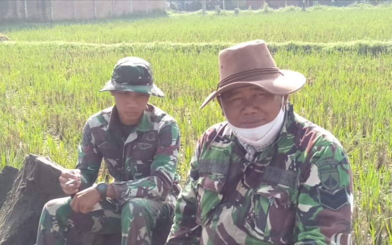 Kisah Dibalik Sertu Budi Waluyo Satgas TMMD Kisah Dibalik Sertu Budi Waluyo Satgas TMMD