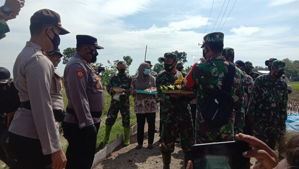 Kejutan Tumpeng HUT Bhayangkara ke 75 Di Lokasi TMMD Tamansari Jaken