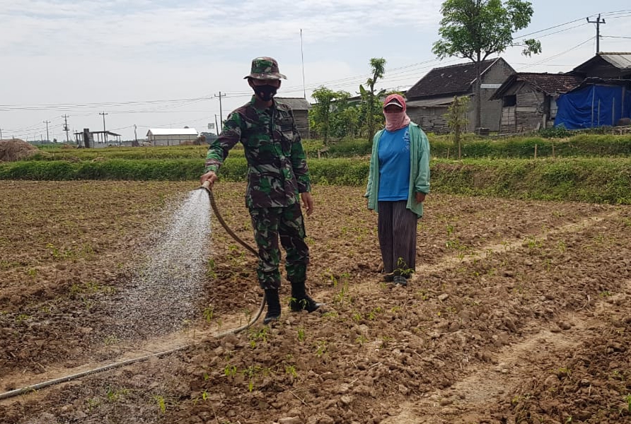 Membantu Petani Sembari Belajar Menjadi Petani Membantu Petani Sembari Belajar Menjadi Petani