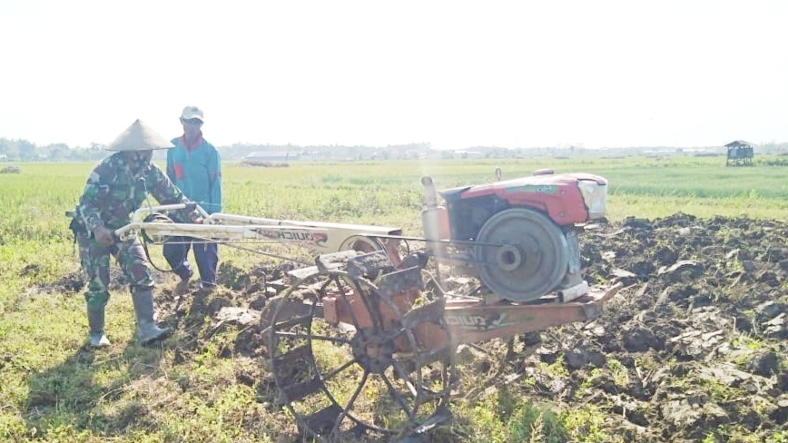 Tak Hanya Mahir Menjadi Operator Molen Serda Jarwo Juga Bisa Traktor Sawah