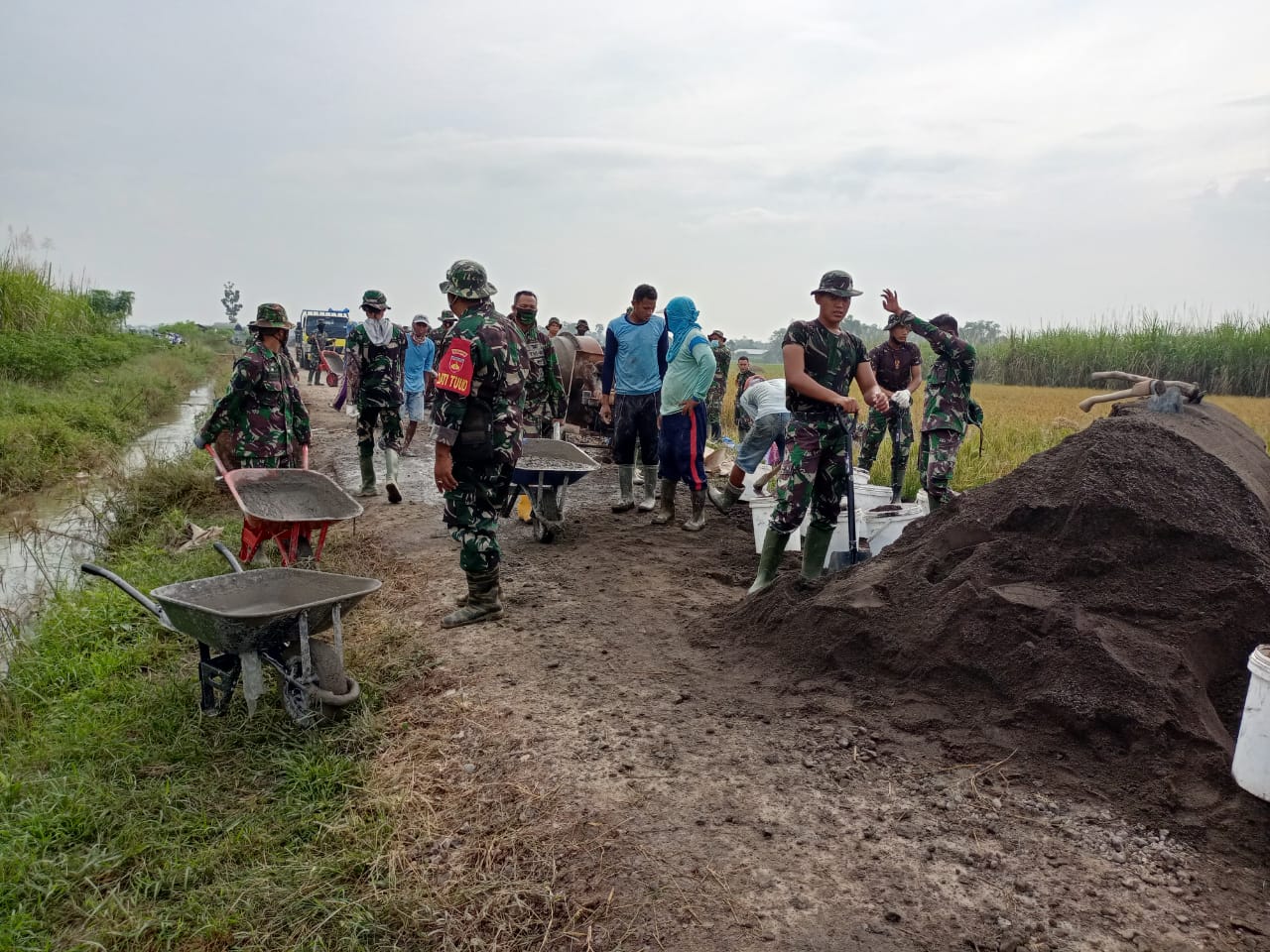 Gelombang Pekerja Di Bumi Pertanian Desa Tamansari Adalah Tim Satgas TMMD Dan Warga Desa Gelombang Pekerja Di Bumi Pertanian Desa Tamansari Adalah Tim Satgas TMMD Dan Warga Desa