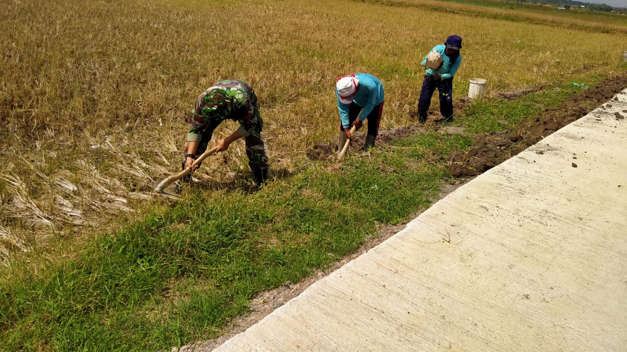 Pemberian Tanah Urug Pada Berem Untuk Hindari Crak Jalan Rabat Beton