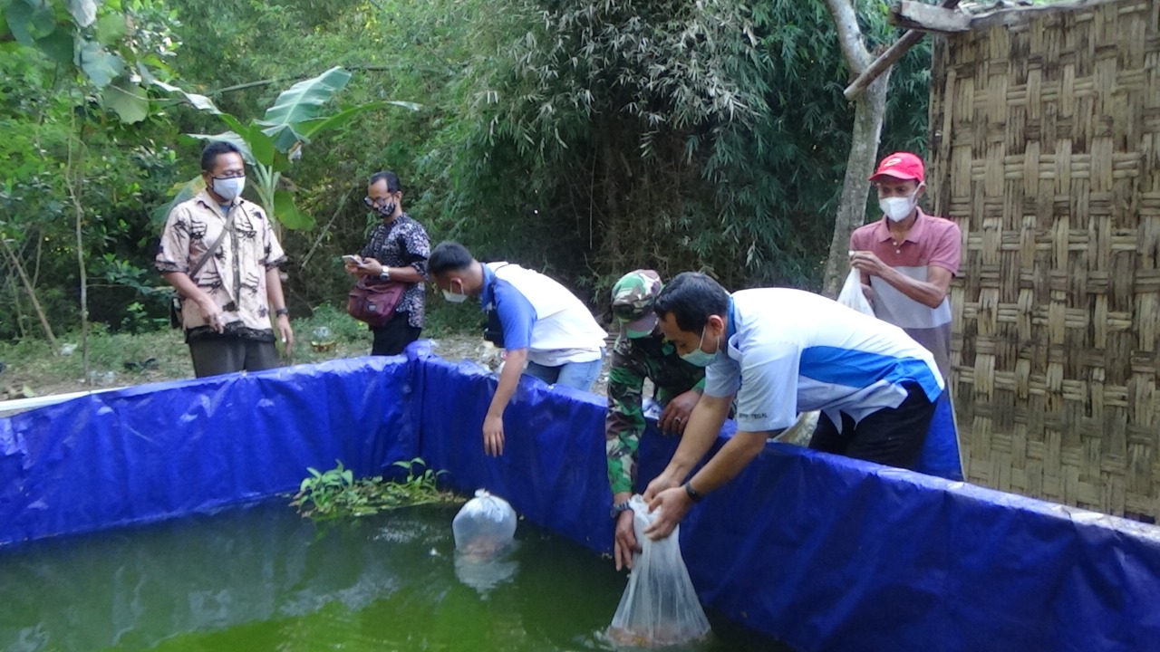 Dislautkan Kabupaten Pati Tebar Ribuan Ikan Tawar Di Lokasi TMMD Reguler Dislautkan Kabupaten Pati Tebar Ribuan Ikan Tawar Di Lokasi TMMD Reguler