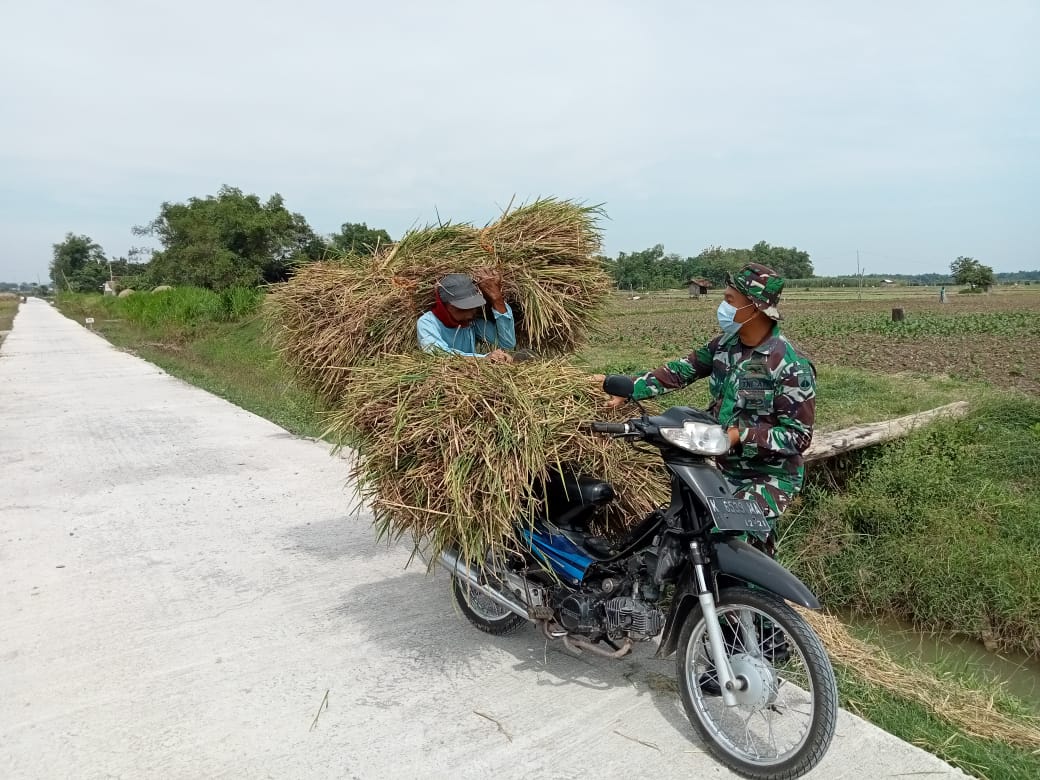 Infrastruktur Yang Bagus Melancarkan Distribusi Panen