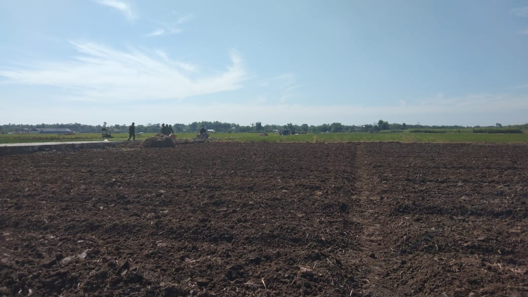 Pembangunan Jalan Di Tengah Sawah Jalan Penghubung Desa Tamansari, menuju Desa Sumberarum Pembangunan Jalan Di Tengah Sawah Jalan Penghubung Desa Tamansari, menuju Desa Sumberarum