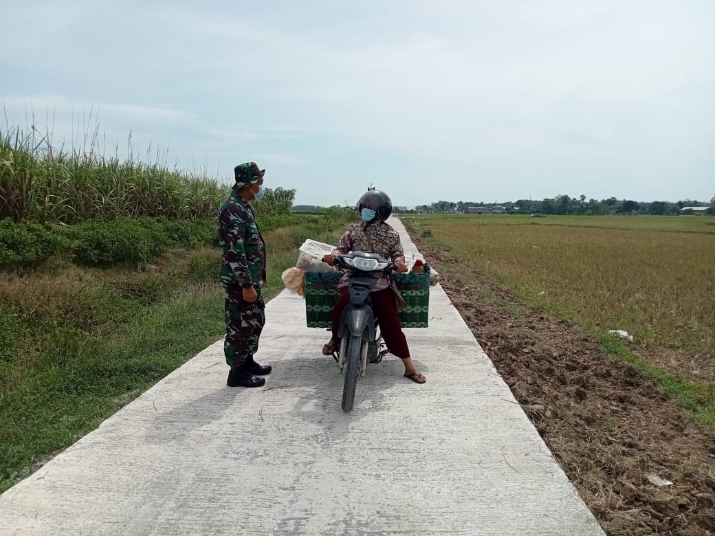 Bahagia Pedagang Sayuran Menikmati Jalan Baru Satgas TMMD Pati Bahagia Pedagang Sayuran Menikmati Jalan Baru Satgas TMMD Pati