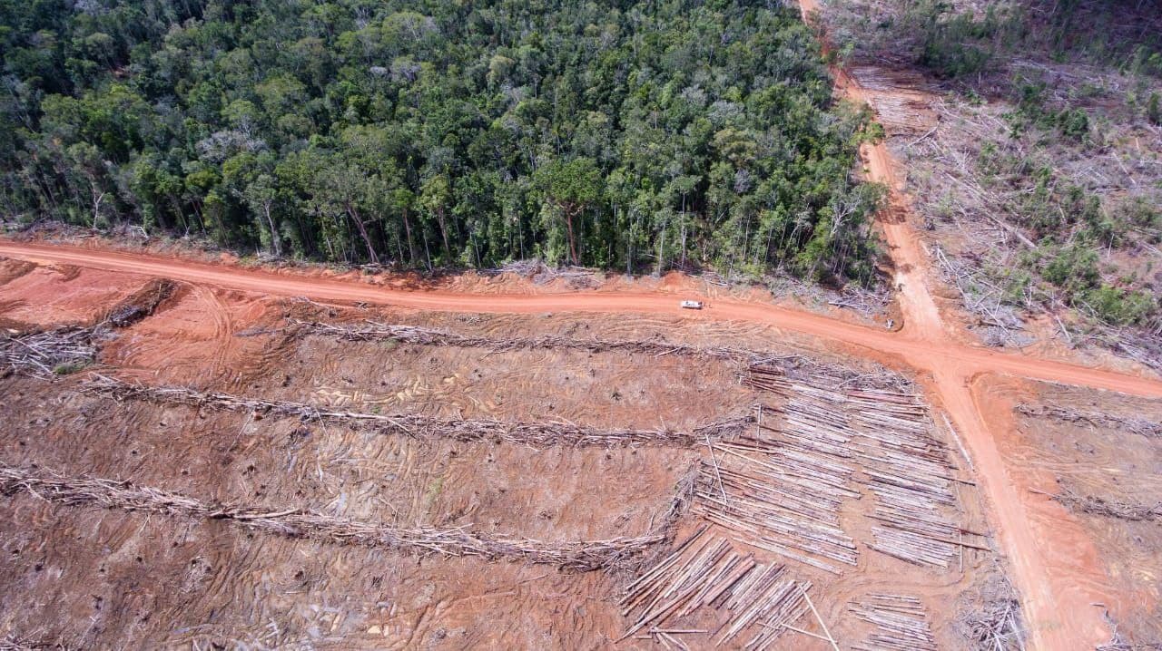 Perusahaan Kelapa Sawit dan Kayu Korindo dikeluarkan dari Forest Stewardship Council (FSC)