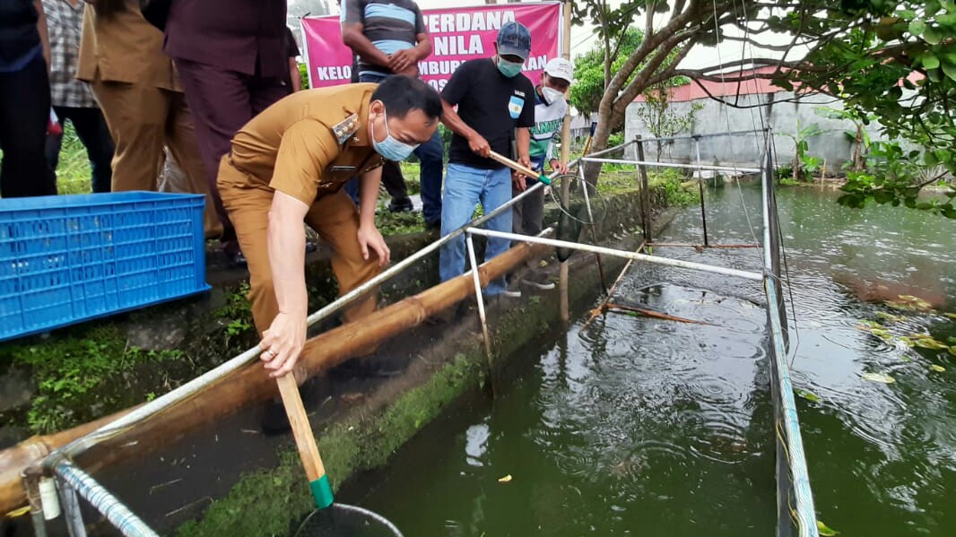 Panen Perdana Budidaya Ikan, Walikota Caroll: Semoga Memberi Manfaat Ekonomi