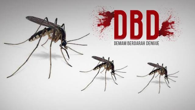 Hingga Februari 2022 Dinkes Catat 10 Kasus DBD di Kotamobagu