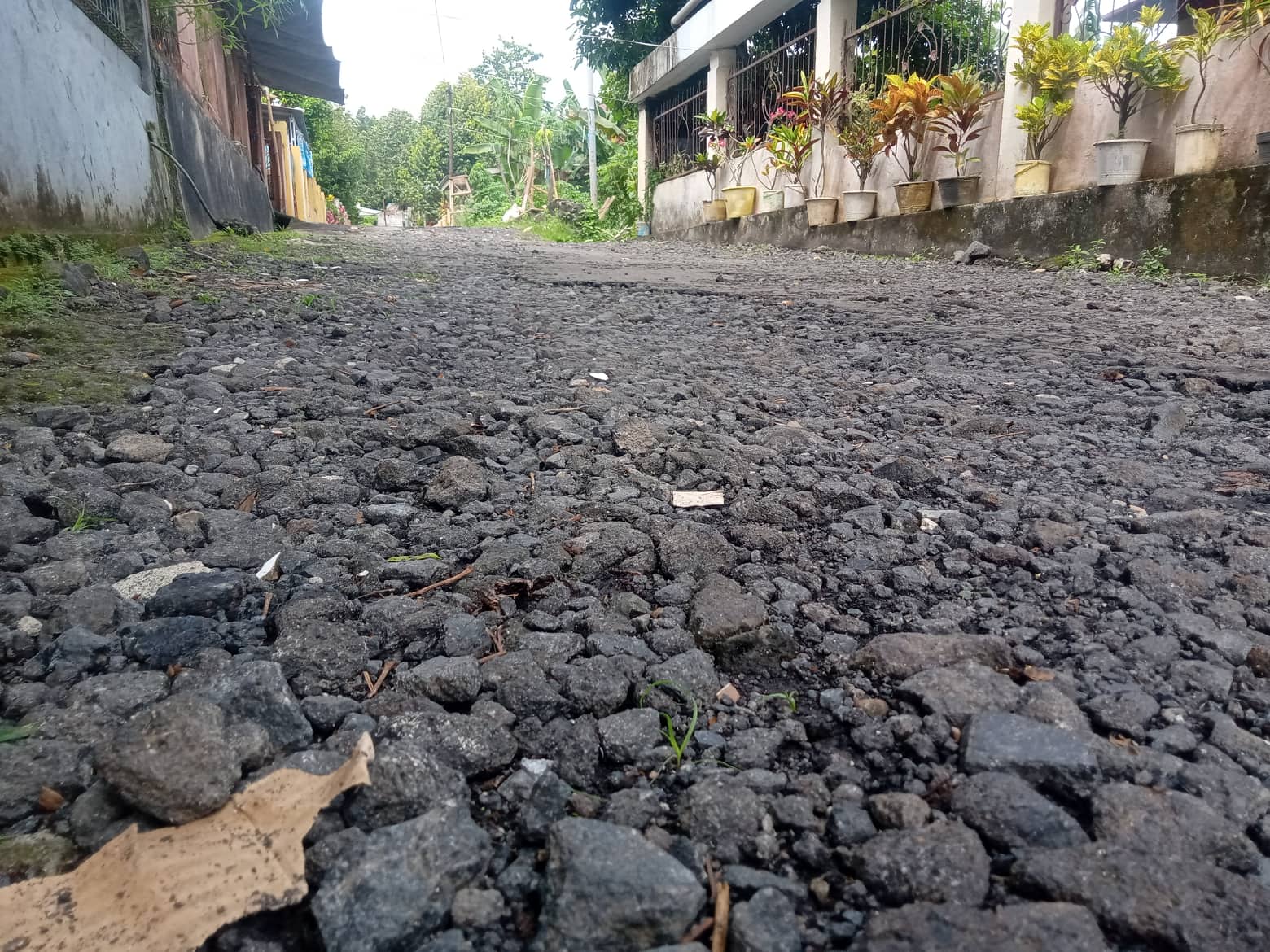 Miris..! Puluhan Tahun Tidak di Perhatikan Pemerintah, Jalan di Malalayang Rusak Parah Miris..! Puluhan Tahun Tidak di Perhatikan Pemerintah, Jalan di Malalayang Rusak Parah