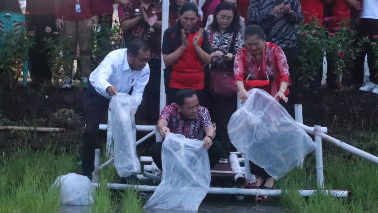 Walikota Caroll Serahkan Benih Ikan Pada Poktan Mandiri Taratara Walikota Caroll Serahkan Benih Ikan Pada Poktan Mandiri Taratara