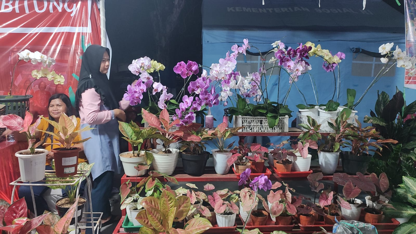 Bagi Pecinta Tanaman Hias, Silahkan Kunjungi Lokasi Flower Expo di Area FPSL 2022
