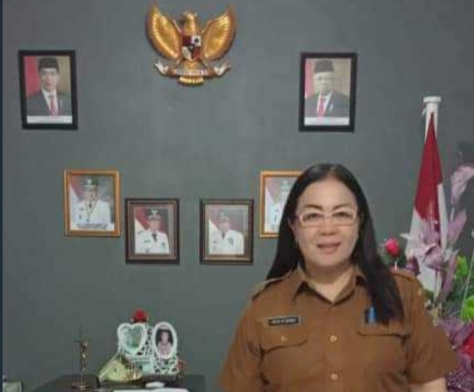 Kadis Kominfo Kabupaten Minahasa Paparkan Gambaran Singkat Soal Smart City Kadis Kominfo Kabupaten Minahasa Paparkan Gambaran Singkat Soal Smart City