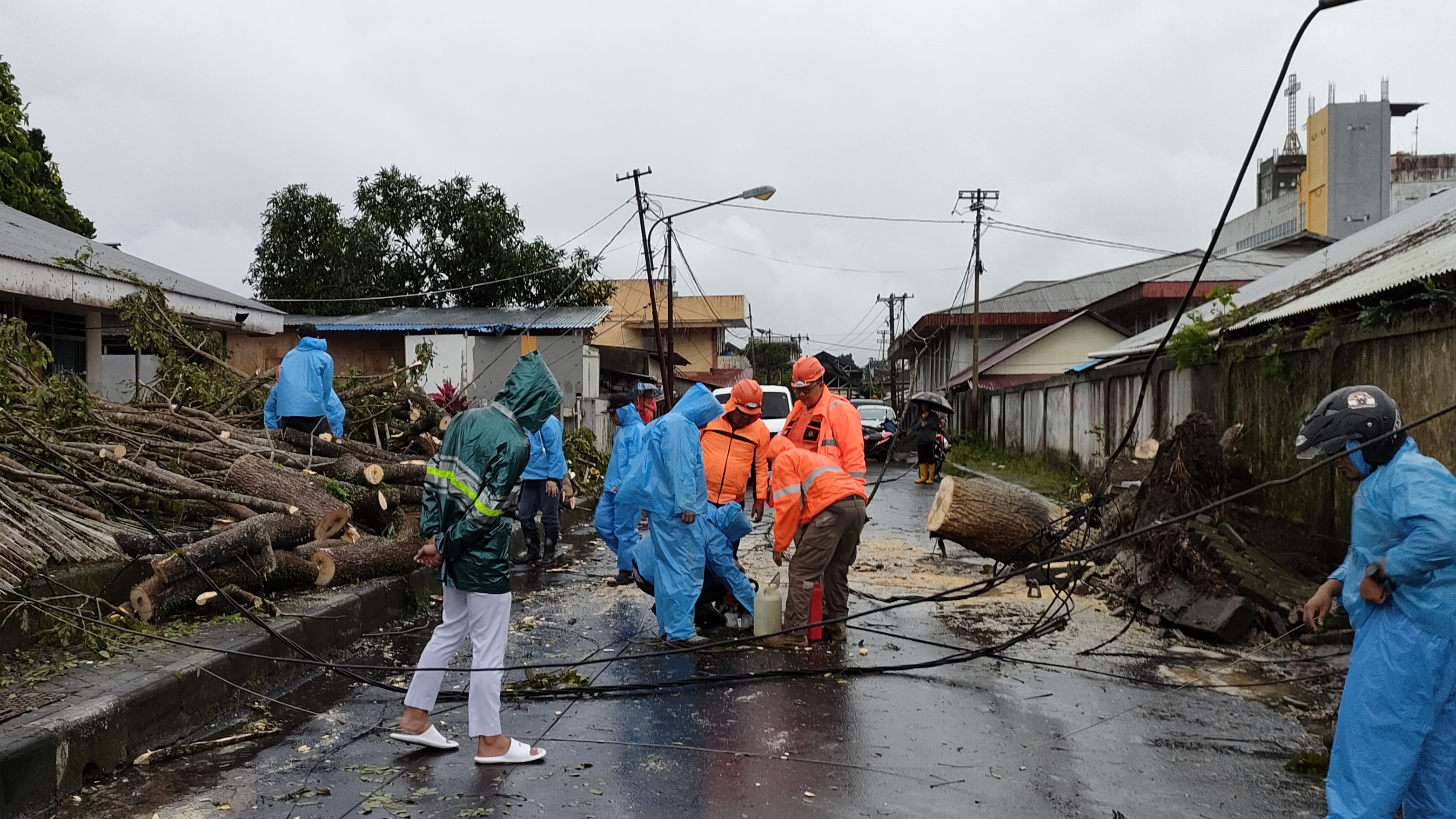 BPBD Tomohon Gerak Cepat Bersihkan Belasan Titik Pohon Tumbang