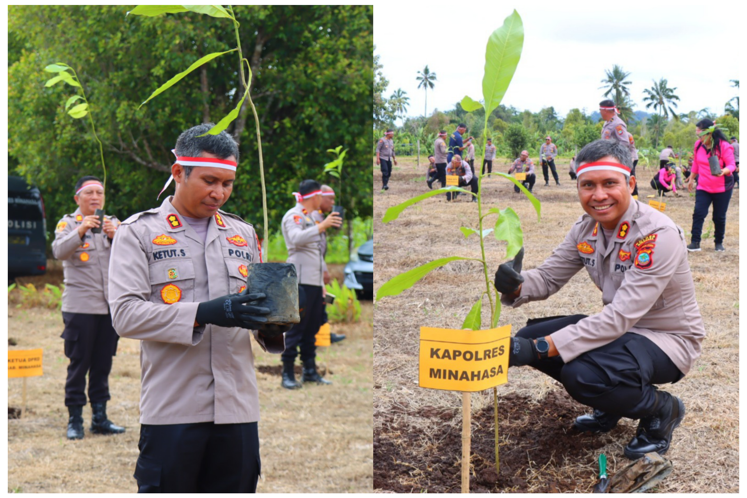Polres Minahasa Laksanakan Penghijauan Dalam Rangka Memperingati HUT ke -78 RI Polres Minahasa Laksanakan Penghijauan Dalam Rangka Memperingati HUT ke -78 RI