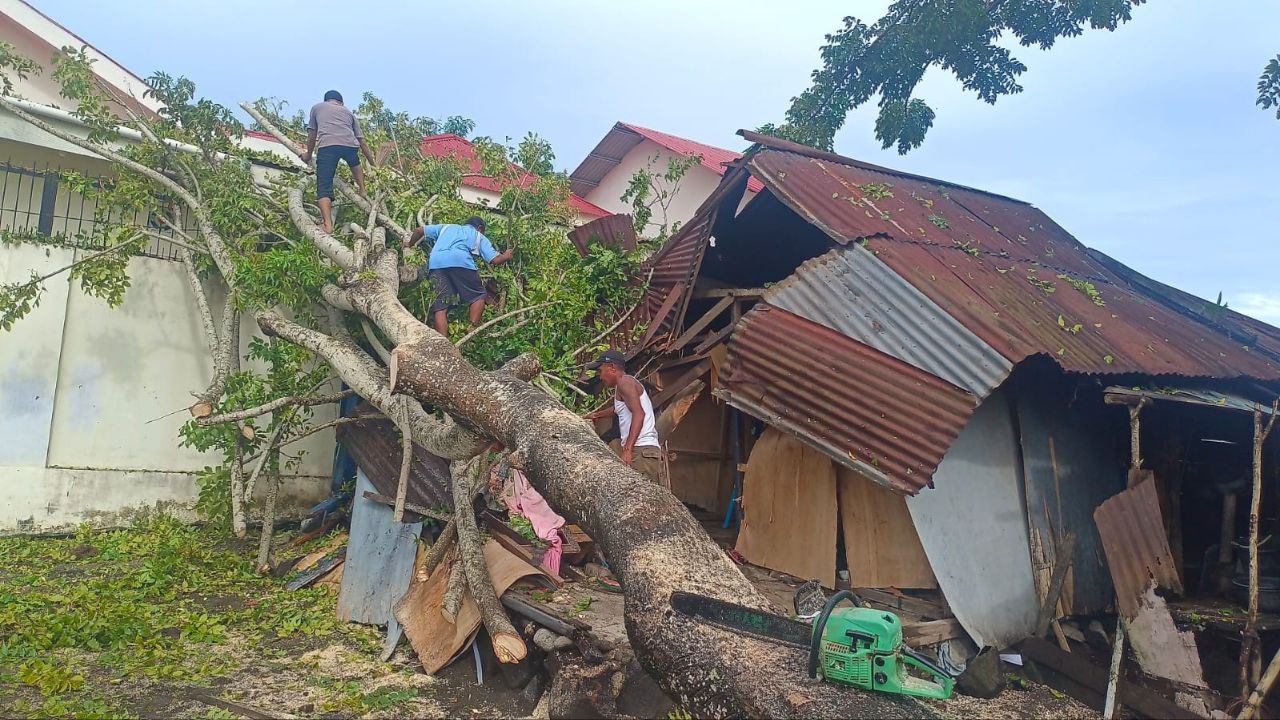 Pagar Tetangga Selamatkan Oma Alwina dari Pohon Tumbang di Kampung Ambong