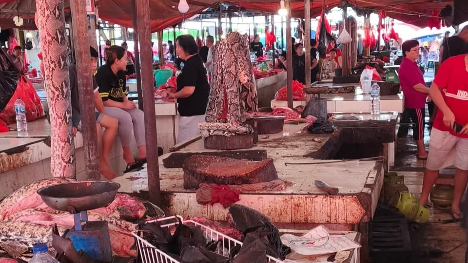Perdagangan Daging Ekstrim Pasar Beriman, Tetap Jadi Idola Wisatawan Perdagangan Daging Ekstrim Pasar Beriman, Tetap Jadi Idola Wisatawan
